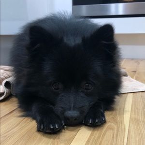 Meet your Posher, Rebecca